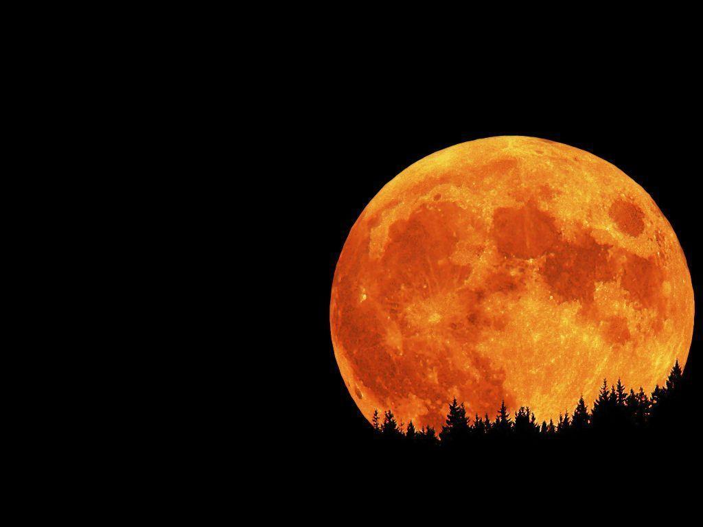 Moon Supermoon And Lunar Eclipse Wallpapers