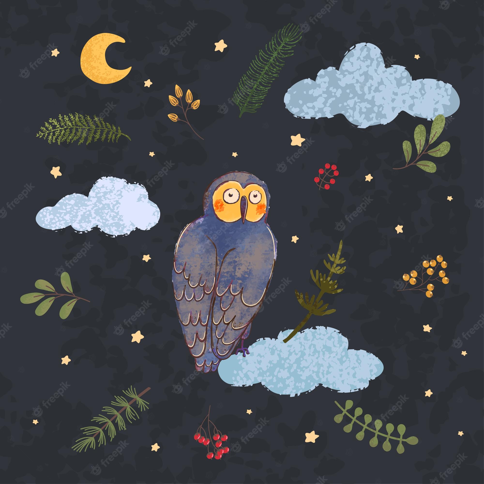 Owl Forest At Night Art Wallpapers