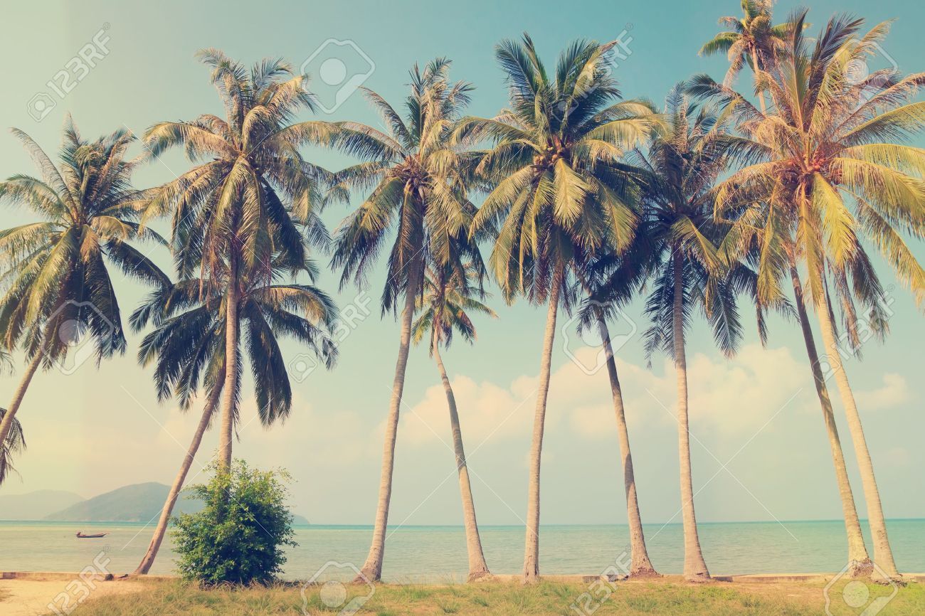 Palm Tree Beach Retro Wallpapers