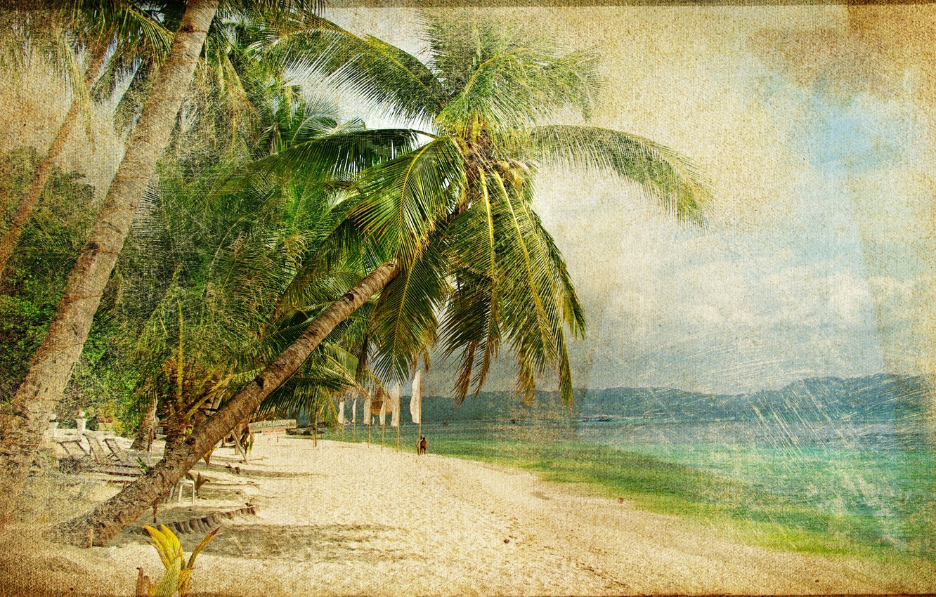 Palm Tree Beach Retro Wallpapers