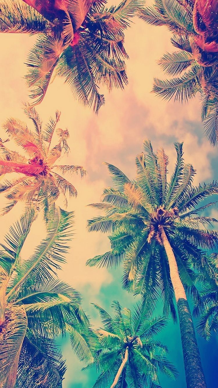 Palm Tree Beach Retro Wallpapers