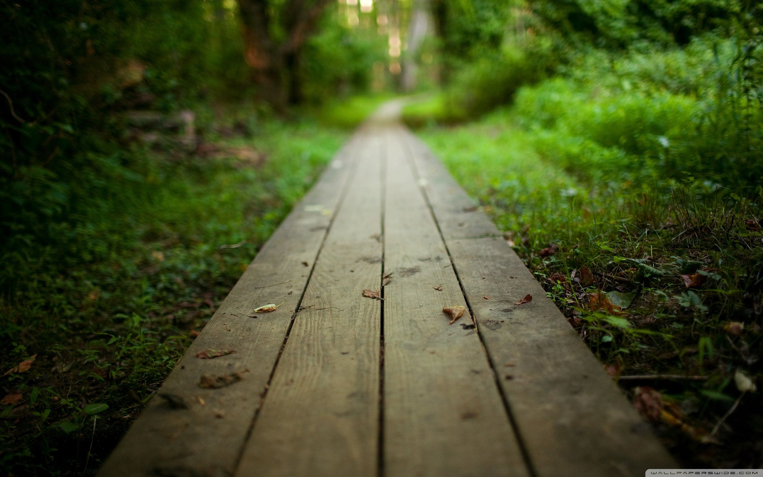 Pathway Wallpapers