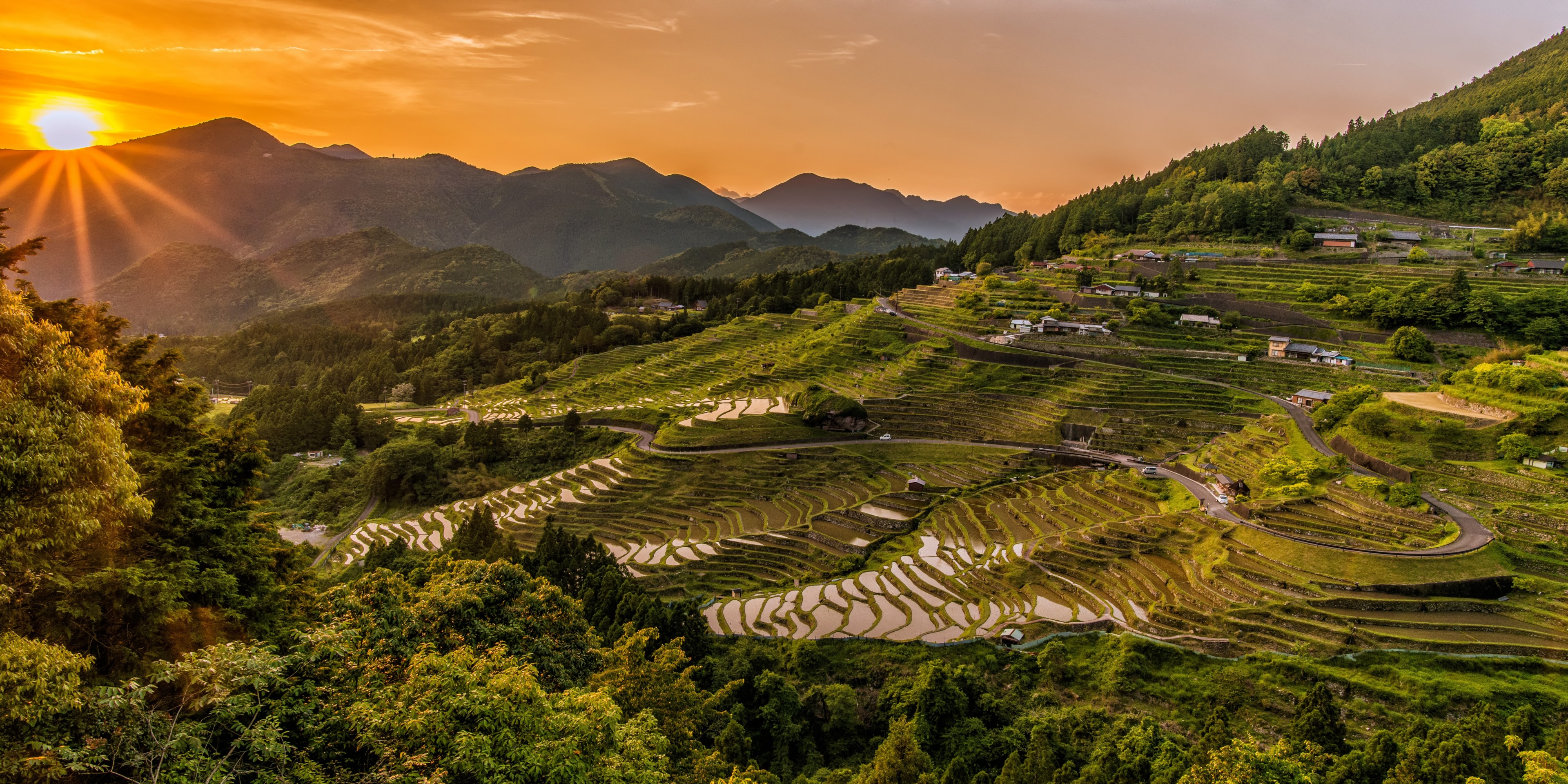 Rice Terrace New 4K Wallpapers