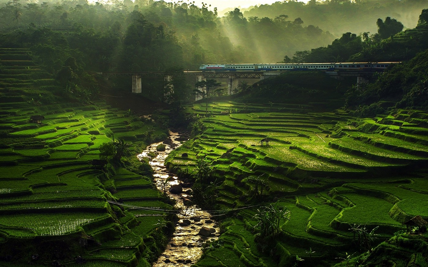 Rice Terrace New 4K Wallpapers