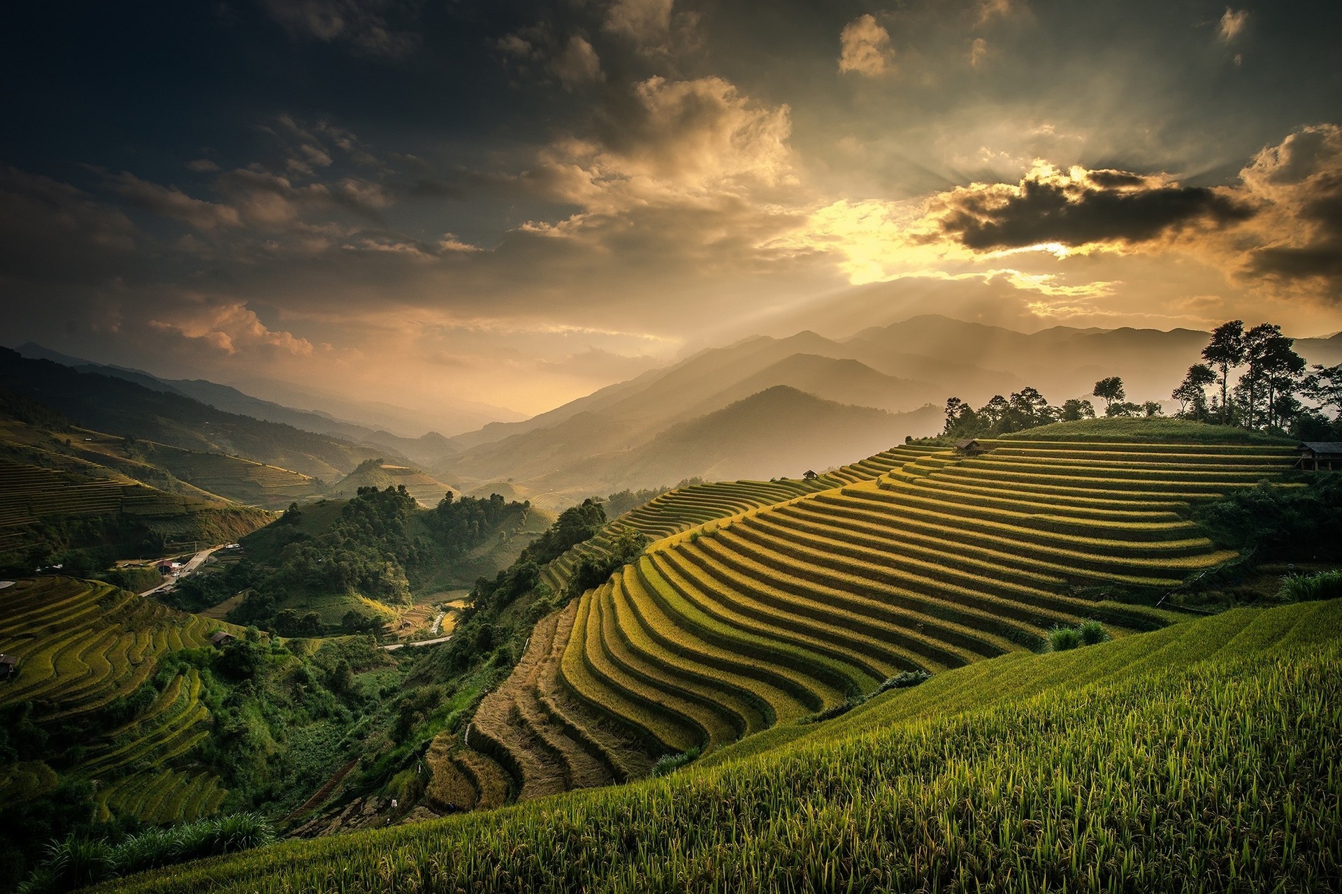 Rice Terrace New 4K Wallpapers