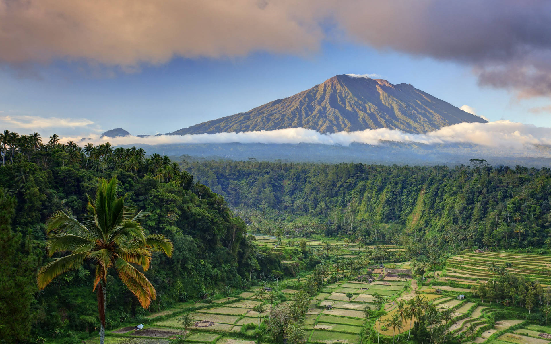 Rice Terrace New 4K Wallpapers