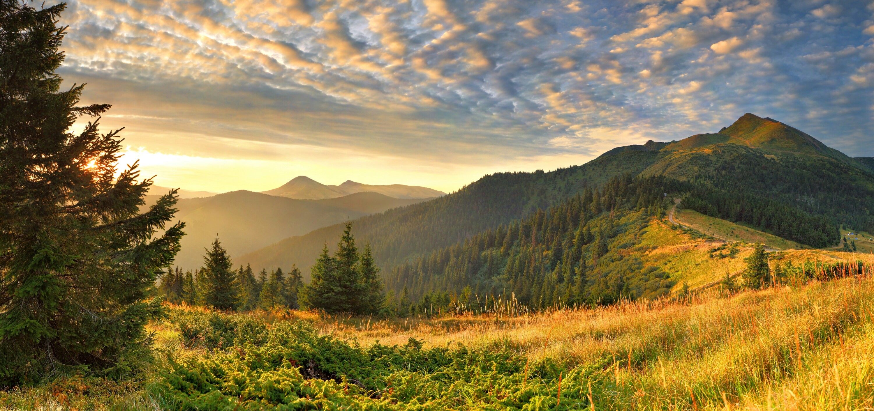 Scenery Of Mountain And Cloud Painting Wallpapers