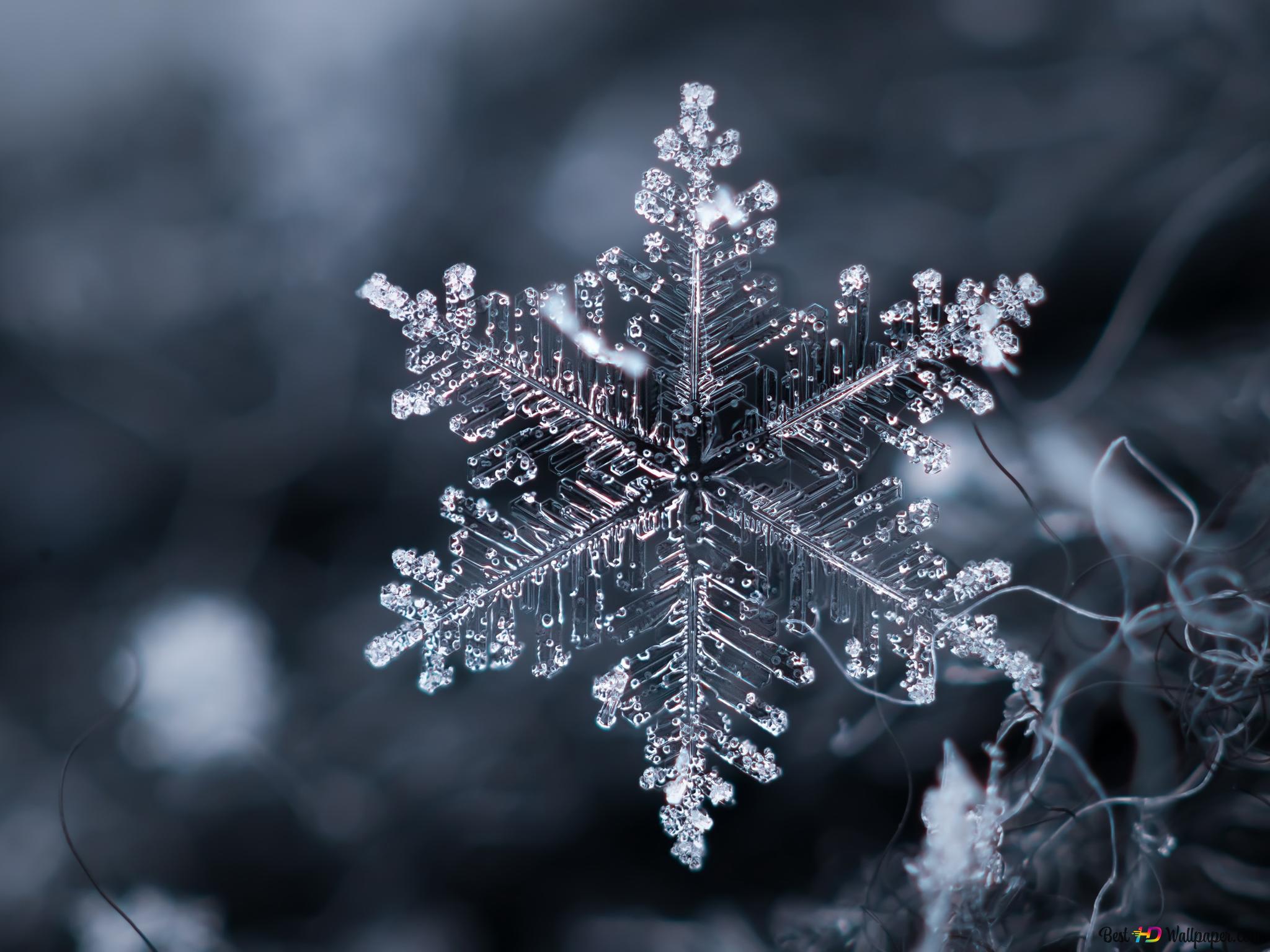 Snowflake Burning Wallpapers