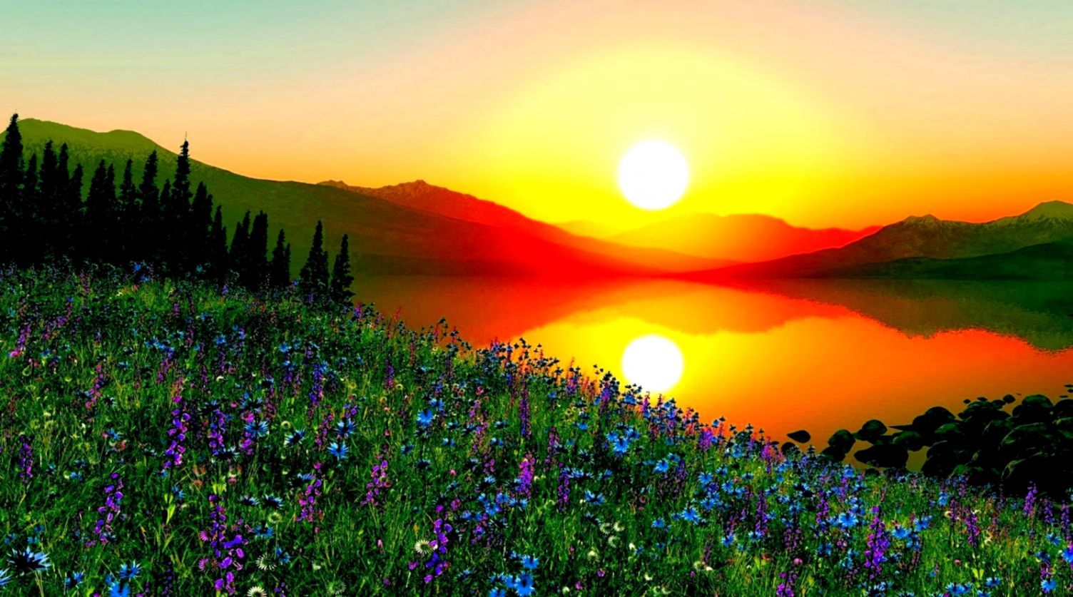 Sunrise Landscape Wallpapers