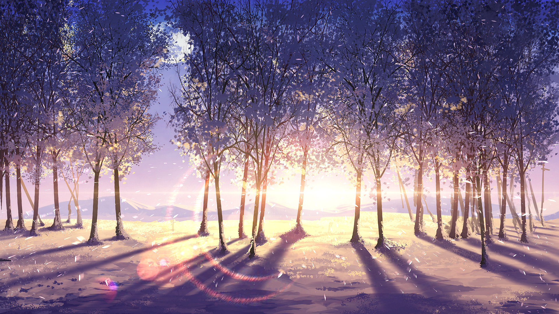 Sunrise Winter Forest Art Wallpapers