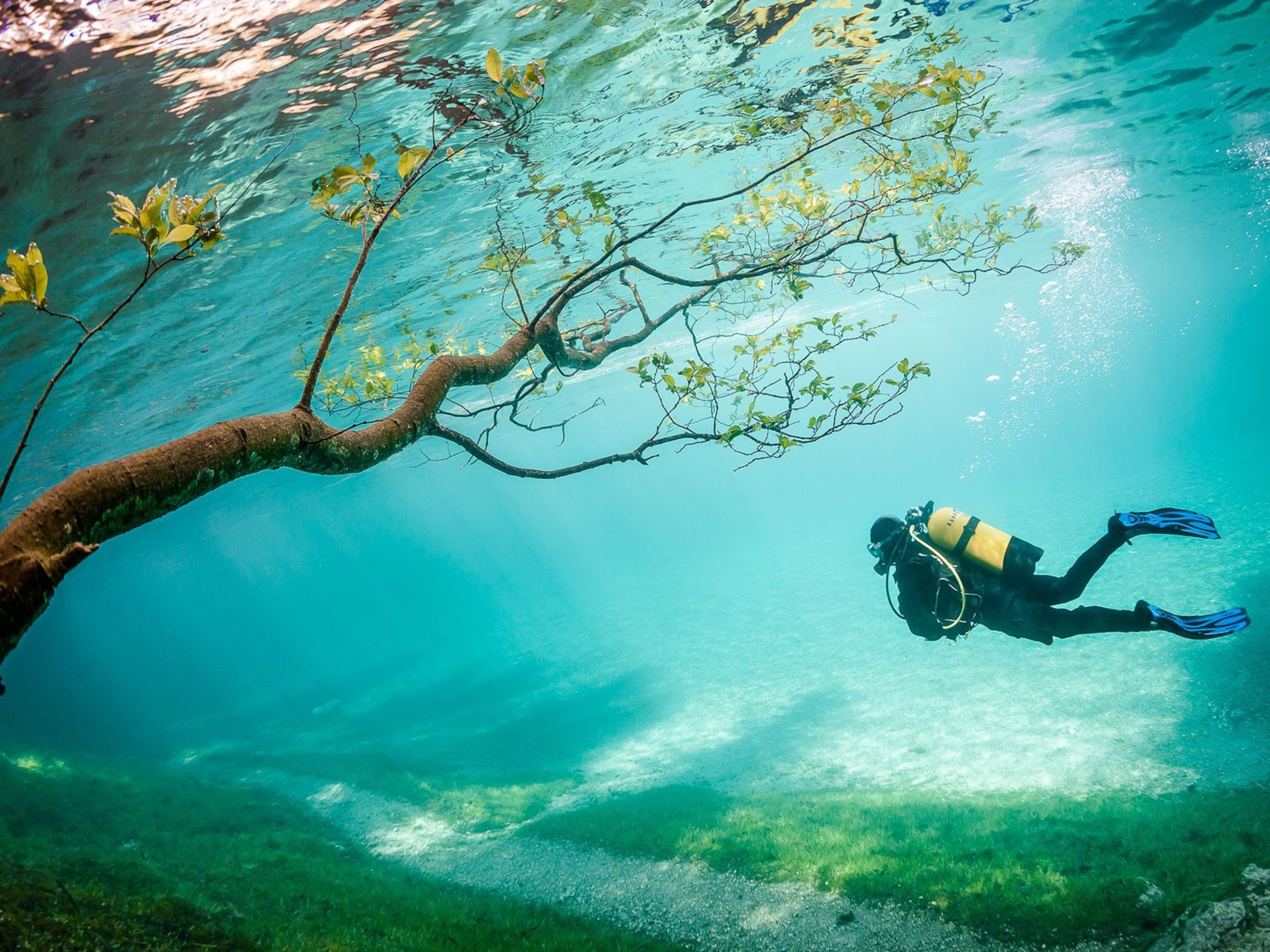 Surreal Women Under Water Wallpapers