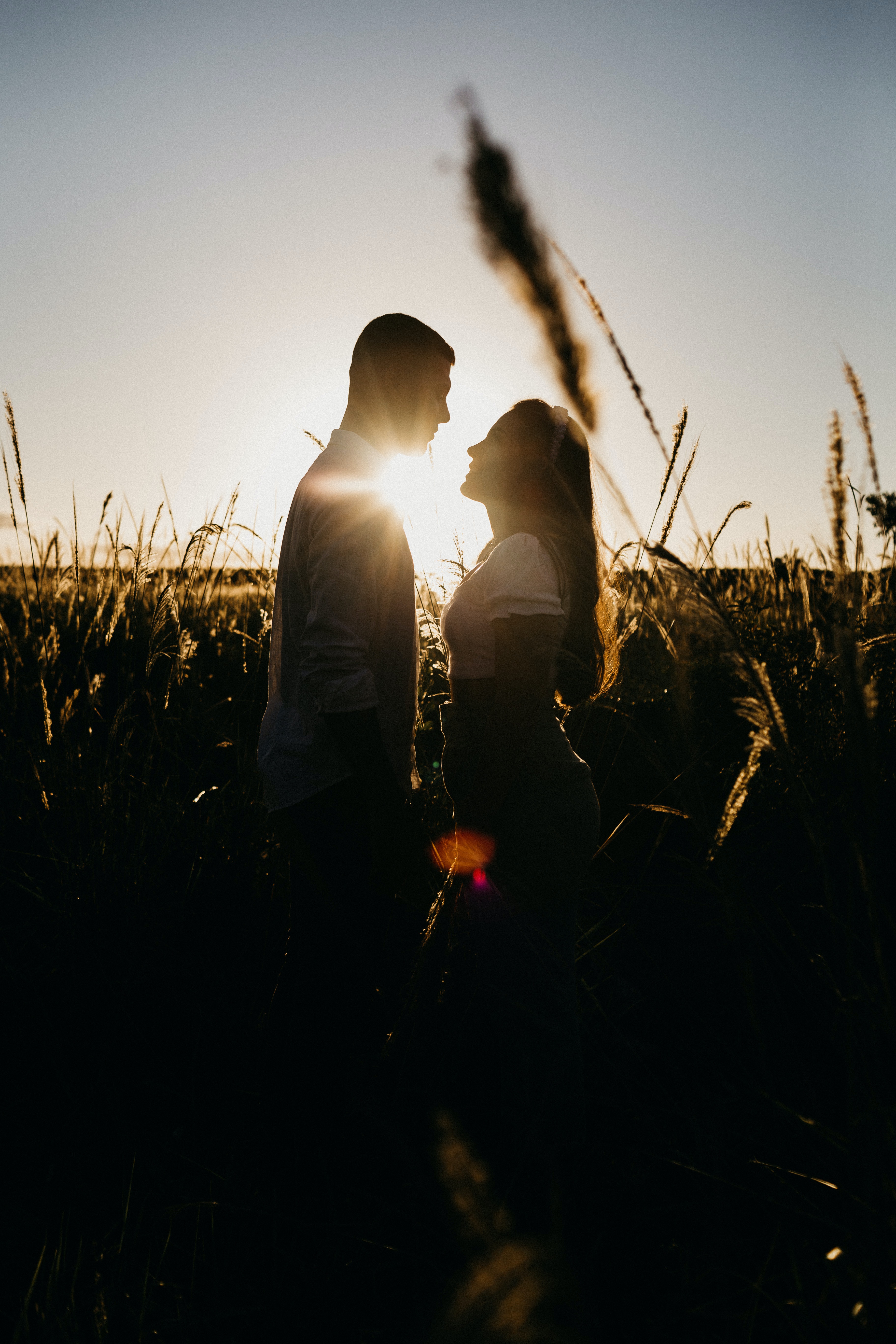 Two Romantic Couple In Field Wallpapers