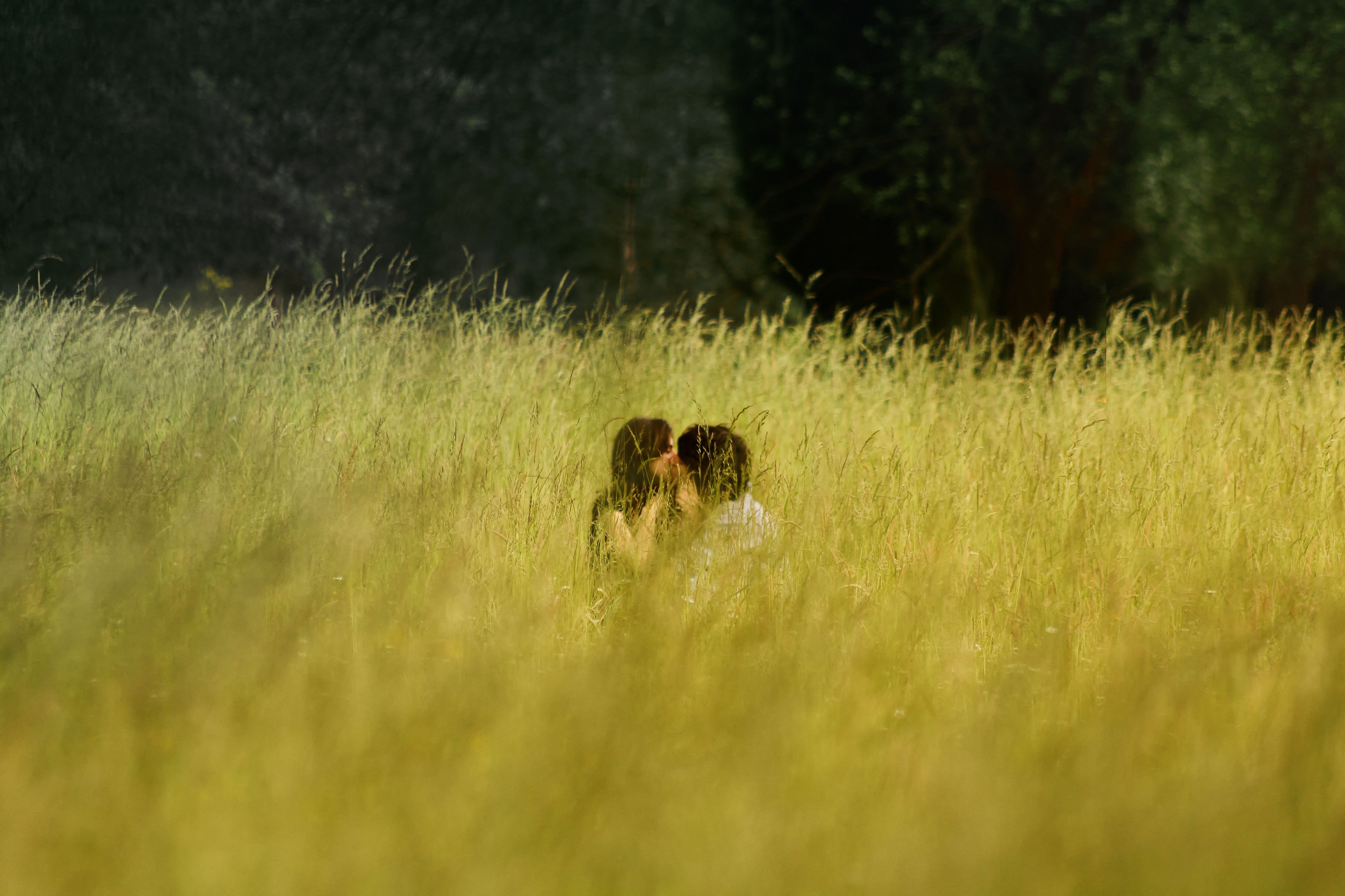 Two Romantic Couple In Field Wallpapers