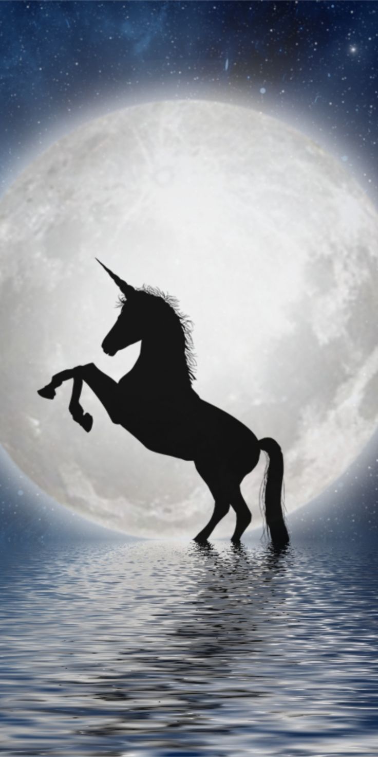 Unicorn Horse Full Moon Wallpapers