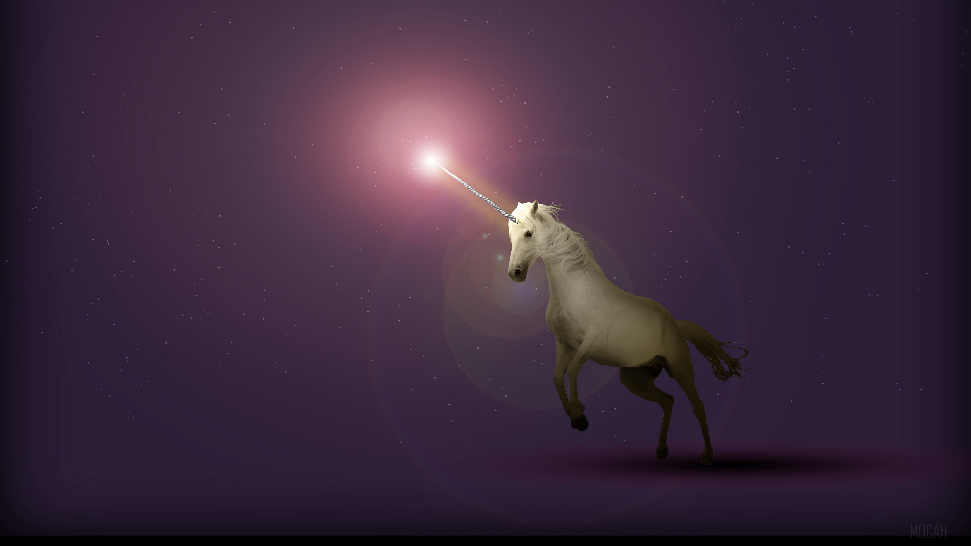 Unicorn Horse Full Moon Wallpapers