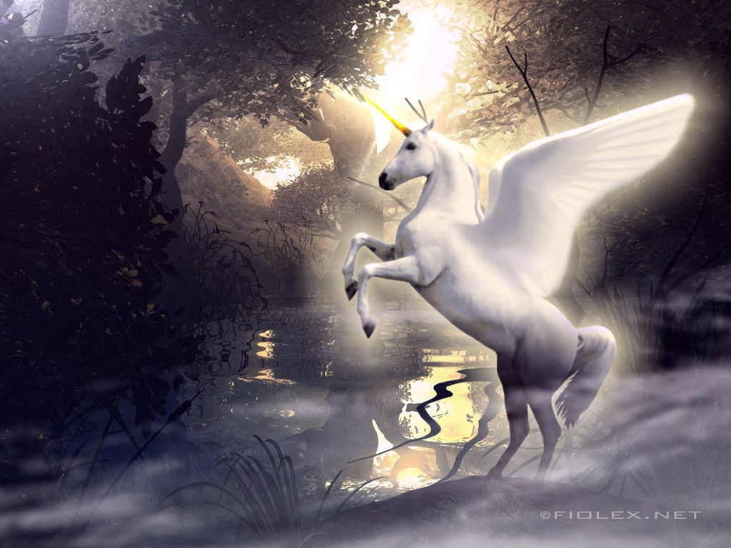 Unicorn Horse Full Moon Wallpapers