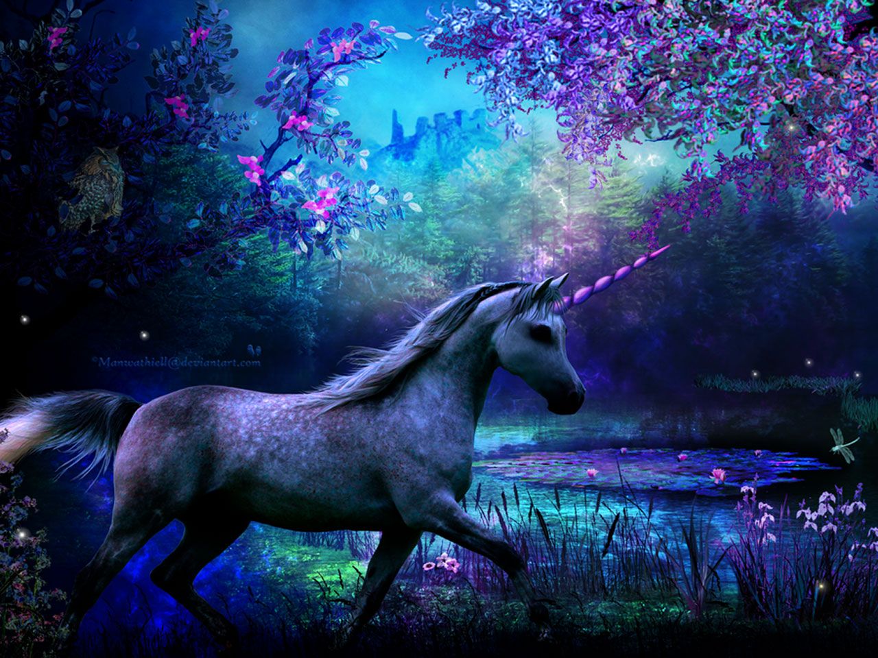 Unicorn In Field Wallpapers