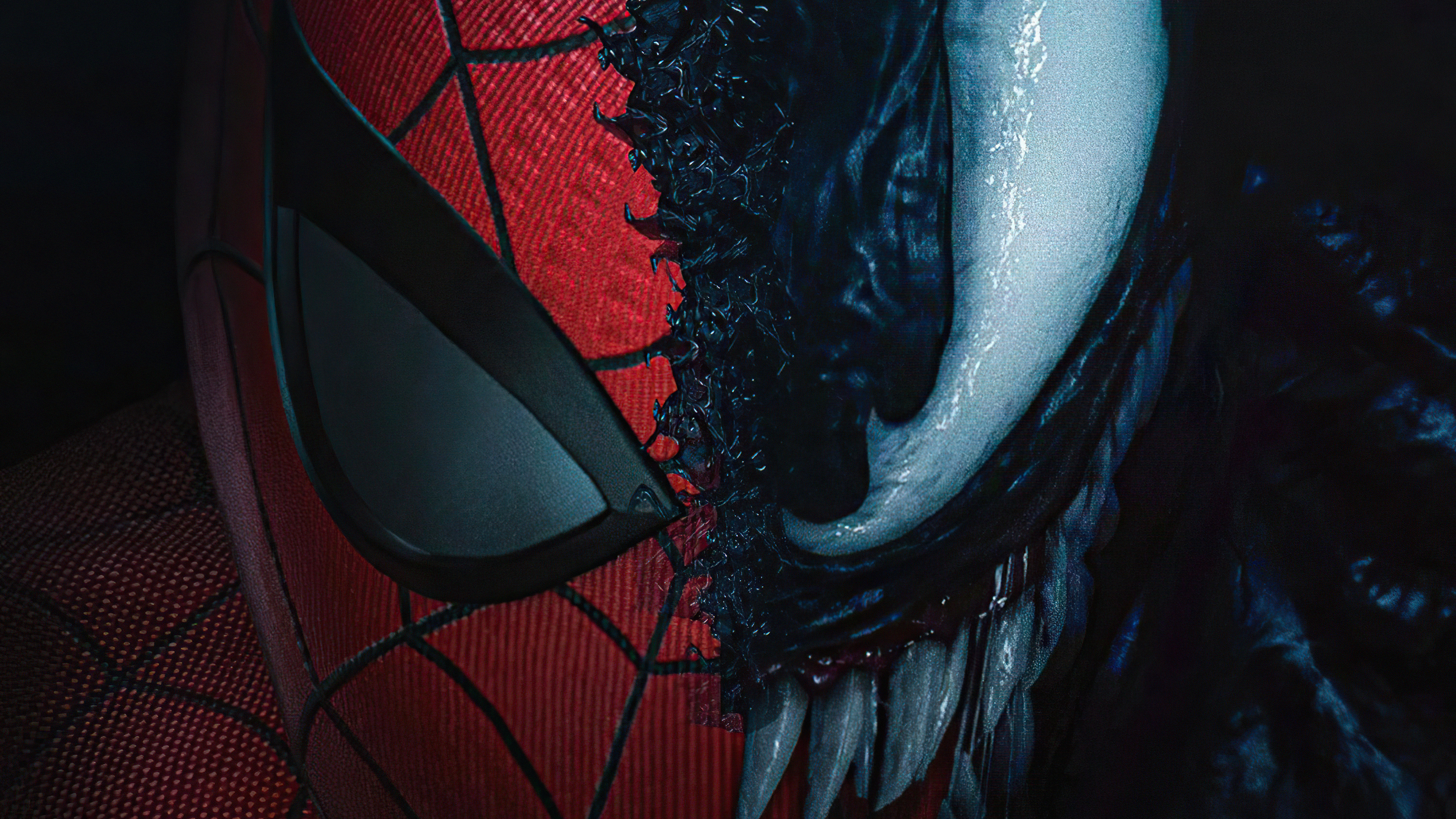 Venom Vs Spider Man Art Wallpapers