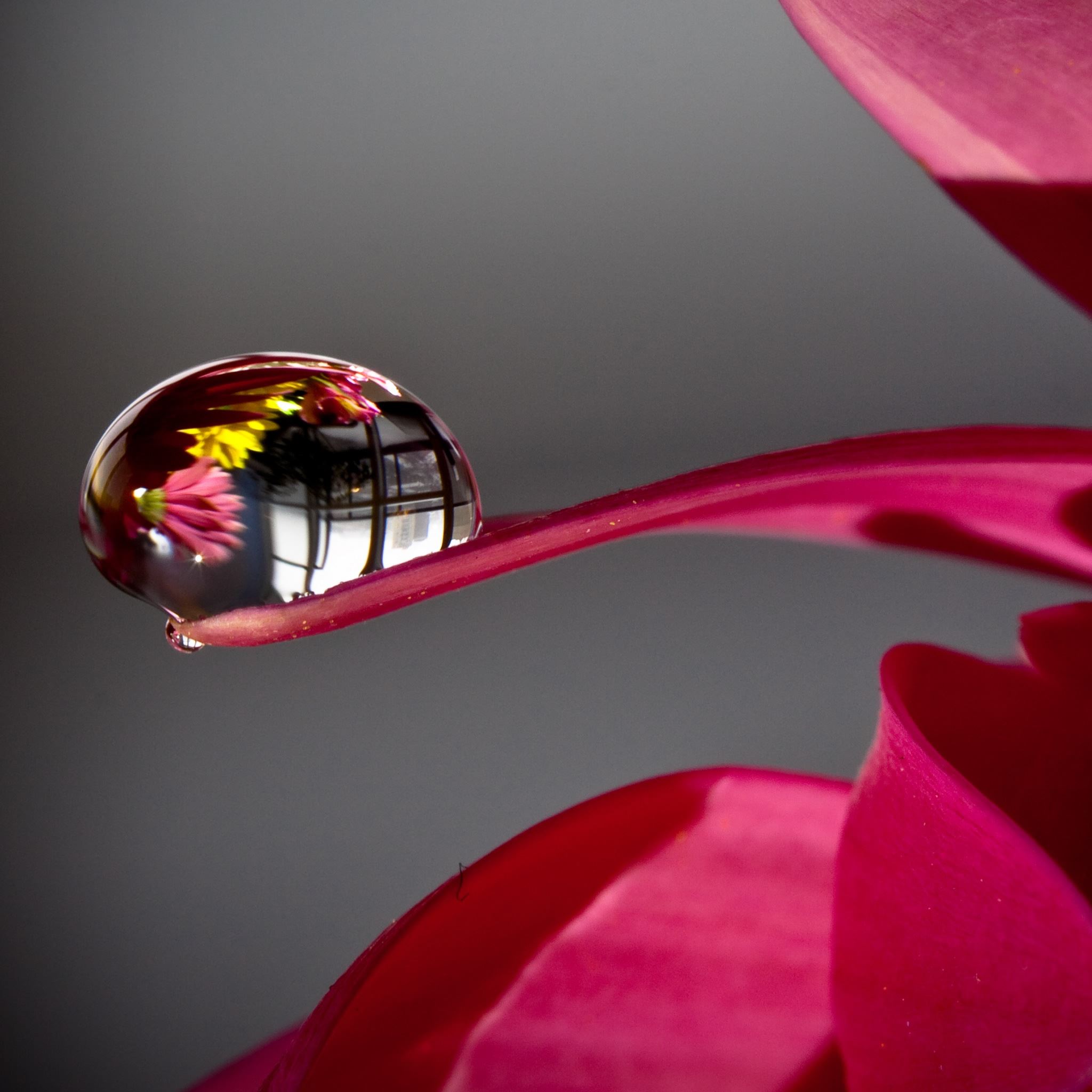 Water Droplet Reflection Wallpapers