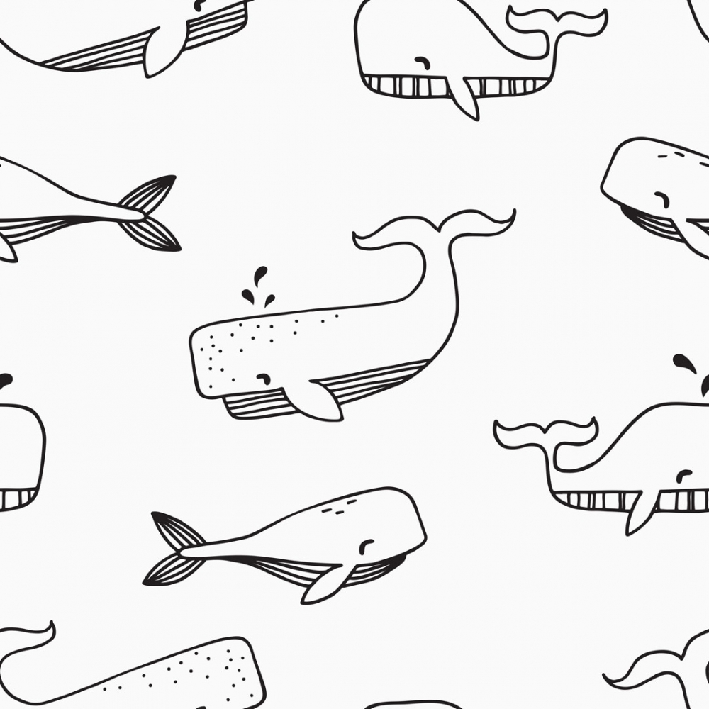 Whale Fish Drawing Art Wallpapers