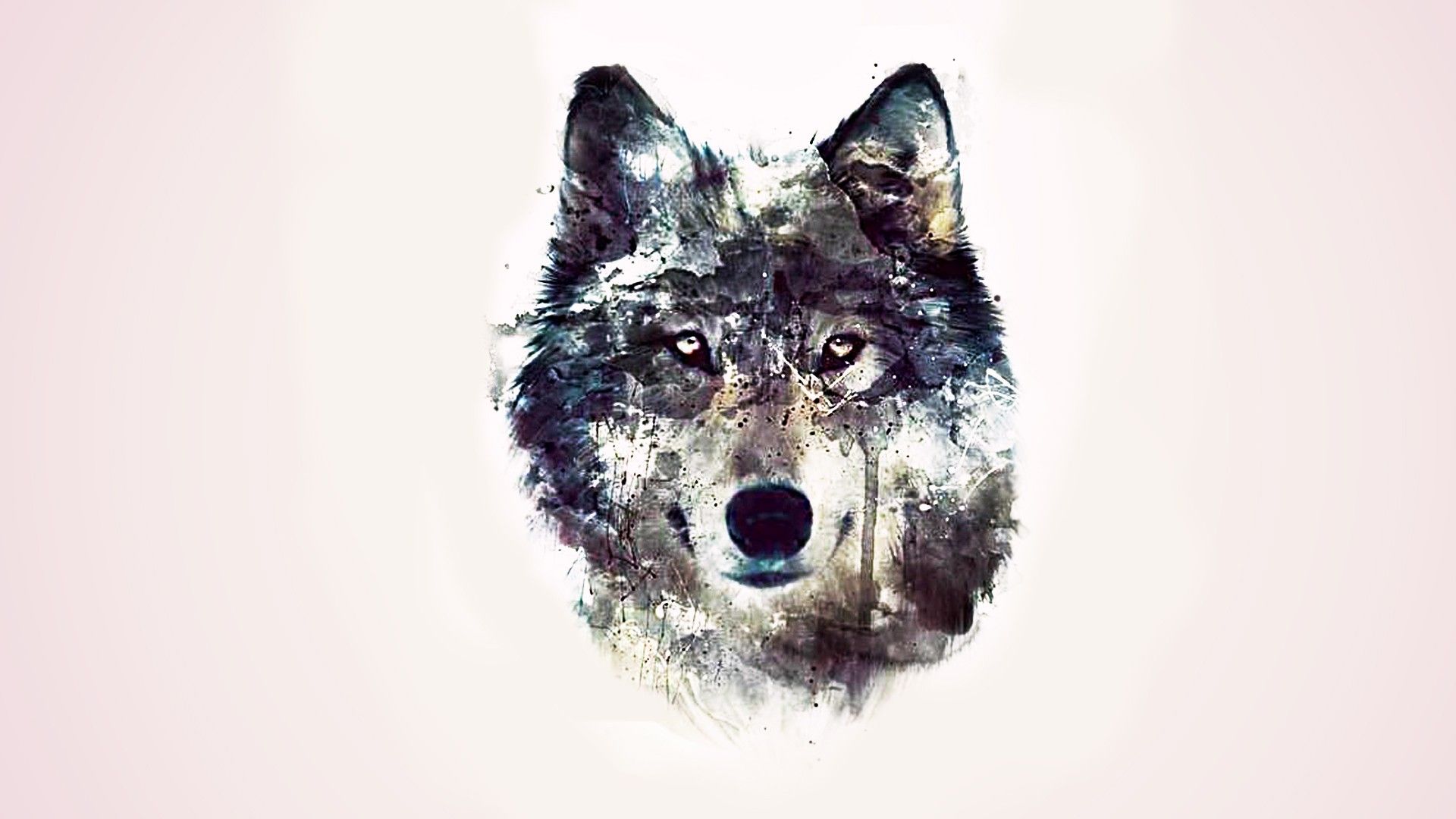 Wolf And Landscape Illustration Wallpapers