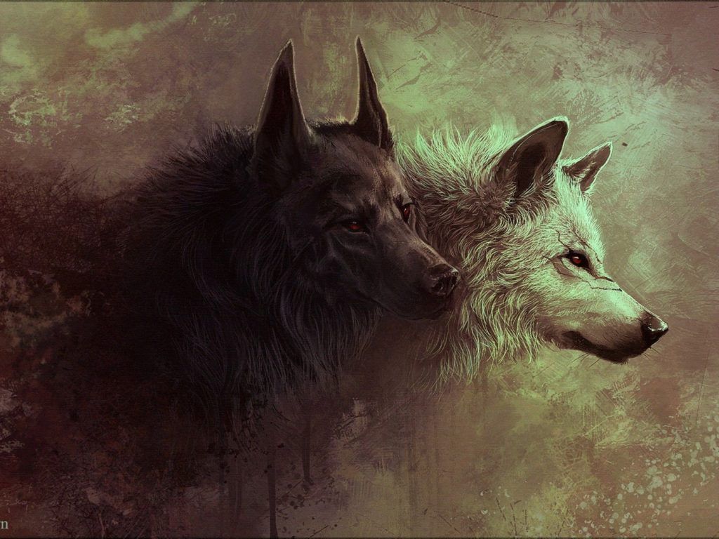 Wolf And Landscape Illustration Wallpapers