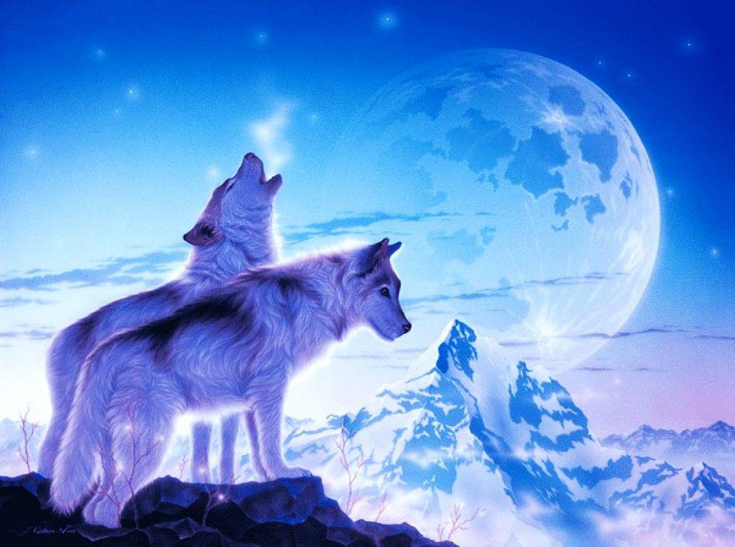 Wolf Fantasy Wallpapers