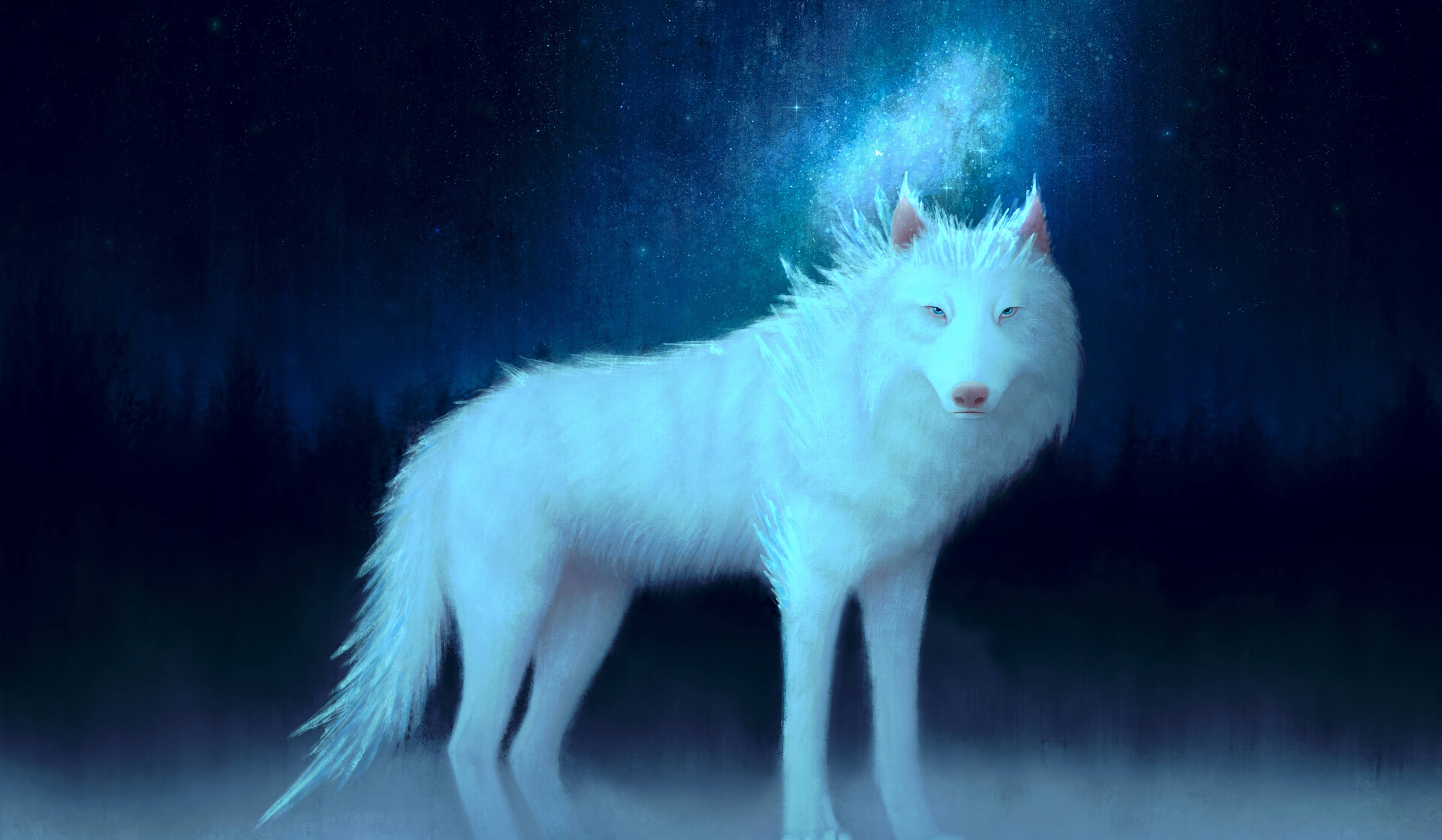 Wolf Fantasy Wallpapers