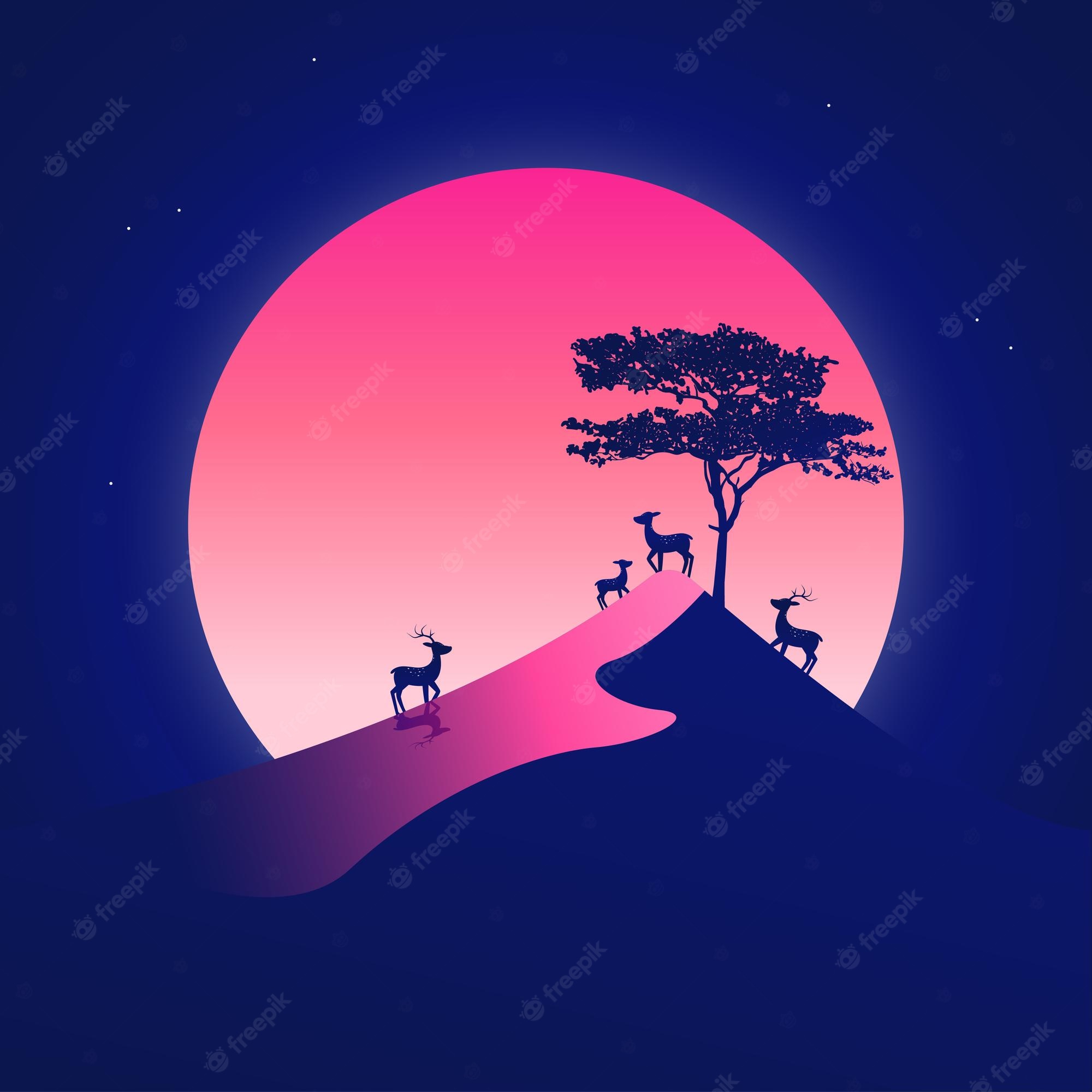 Desert Night Illustration Wallpapers