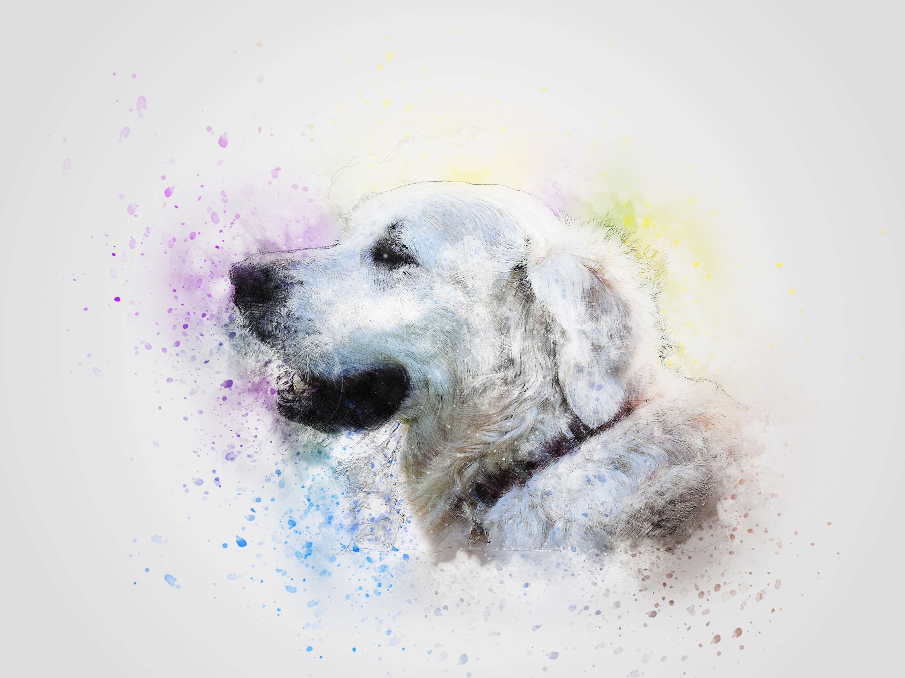 Dog Artwork Wallpapers