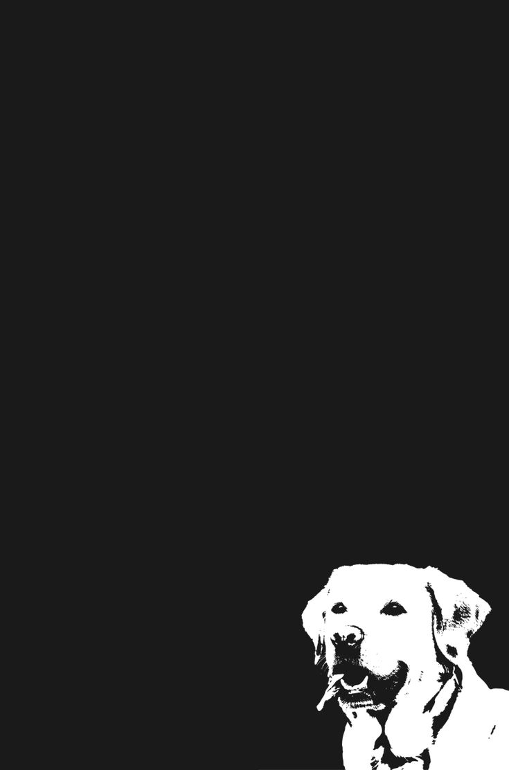 Dog Minimalism Wallpapers