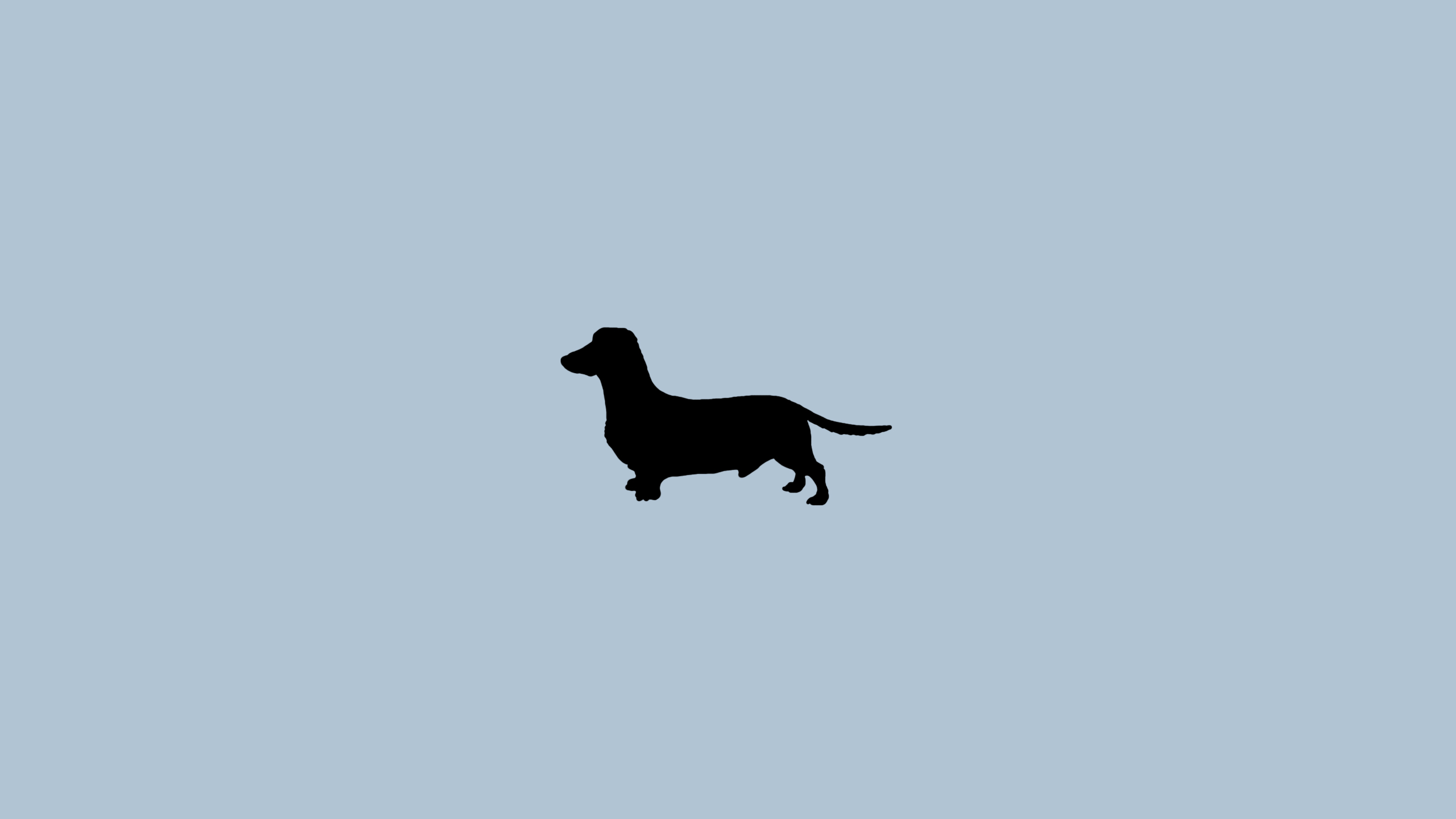 Dog Minimalism Wallpapers