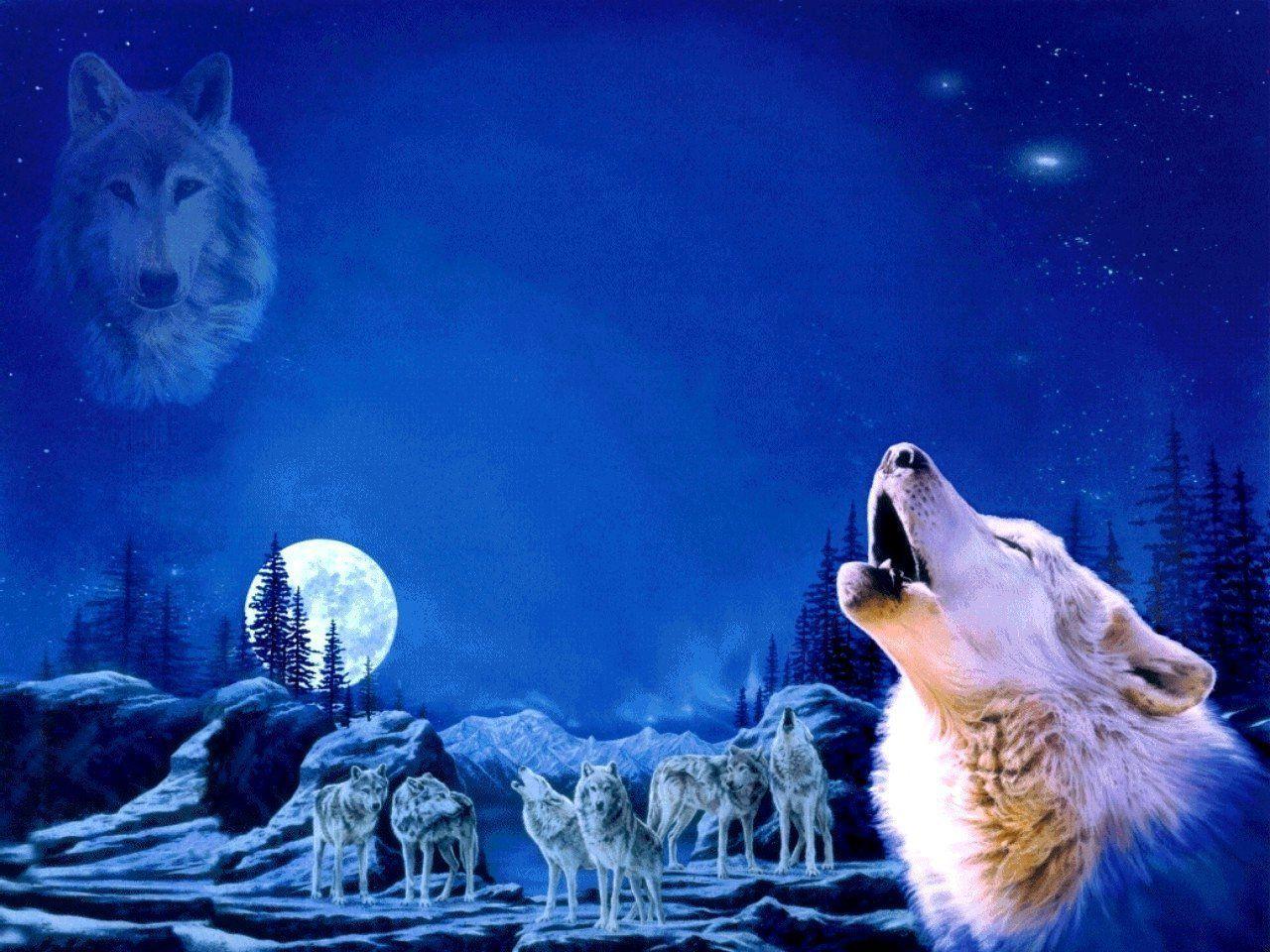 Howling Wolf Wallpapers