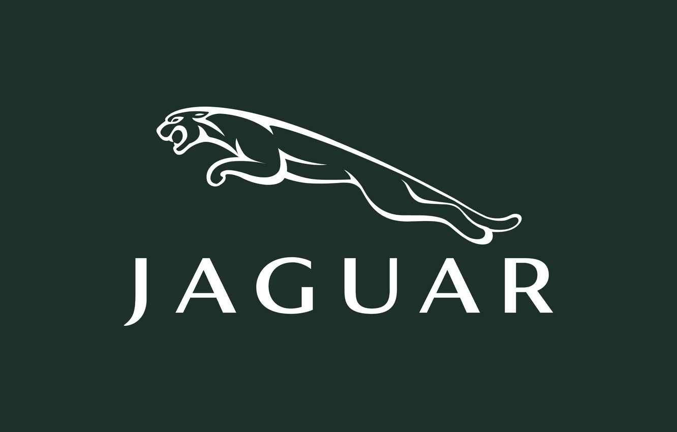 Jaguar Minimalism Wallpapers