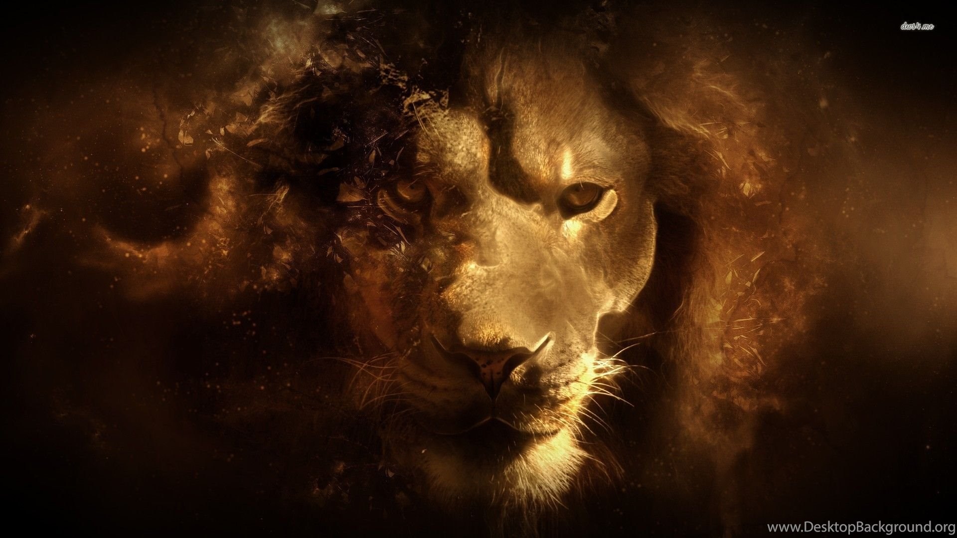 Lion Smoking Digital Art Wallpapers