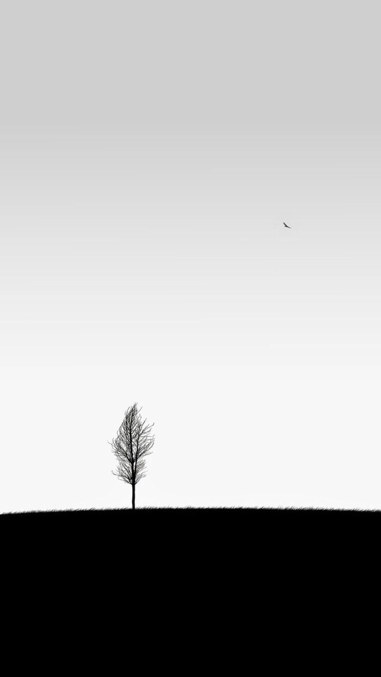 Minimal Tree Wallpapers