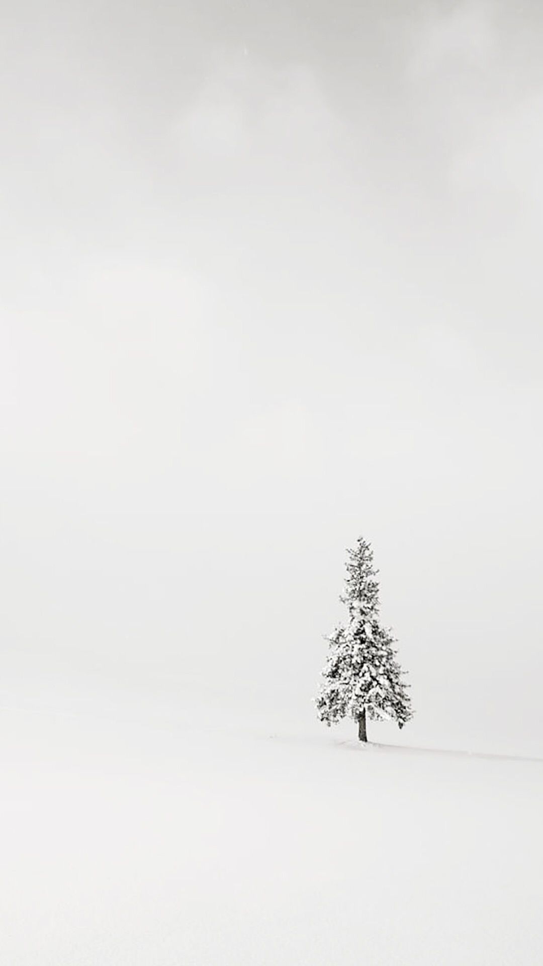 Minimal Tree Wallpapers