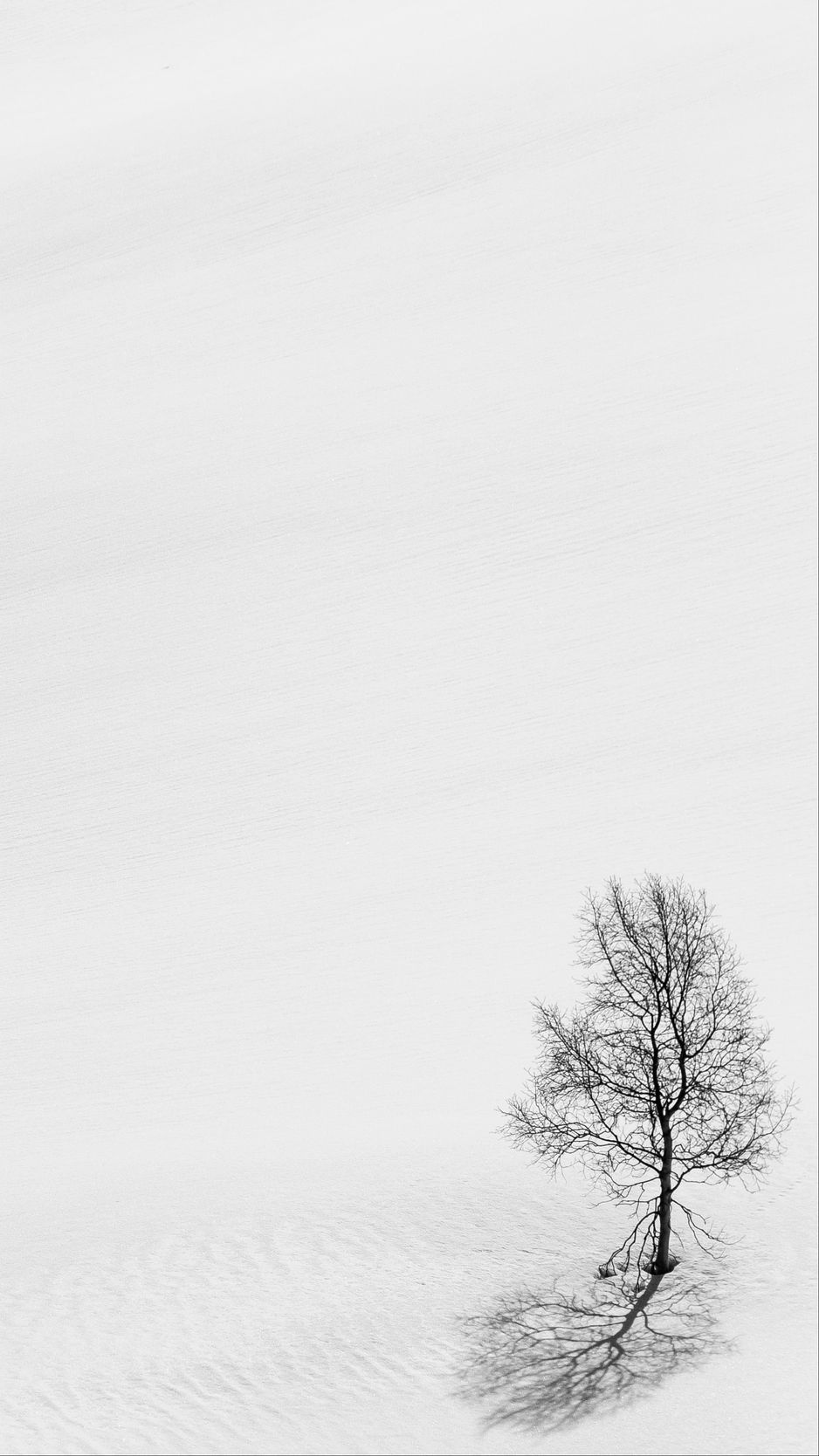 Minimal Winter Wallpapers