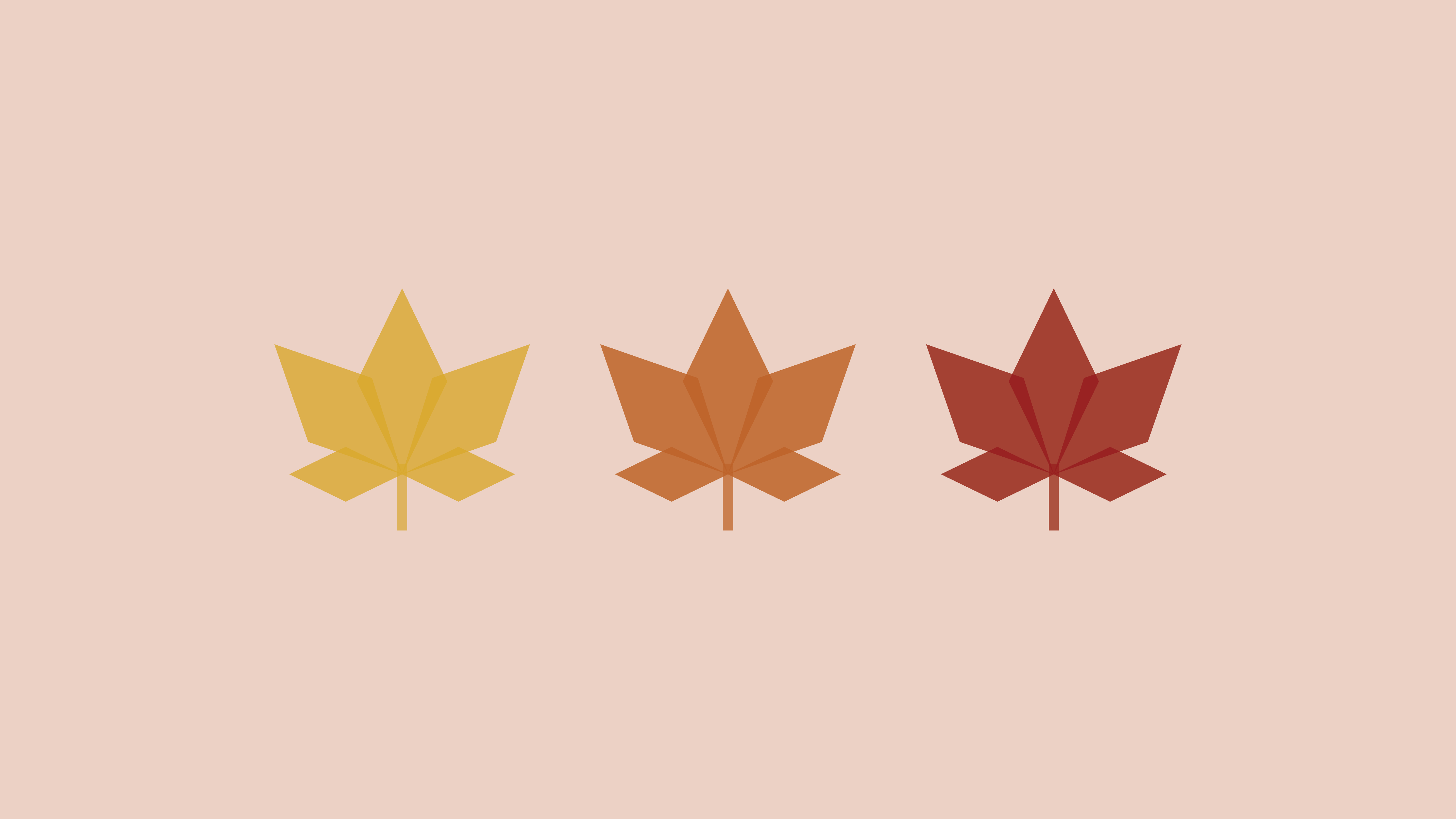 Minimalism Autumn Wallpapers