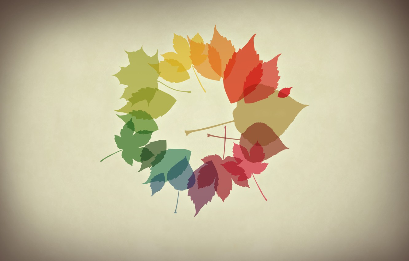 Minimalism Autumn Wallpapers