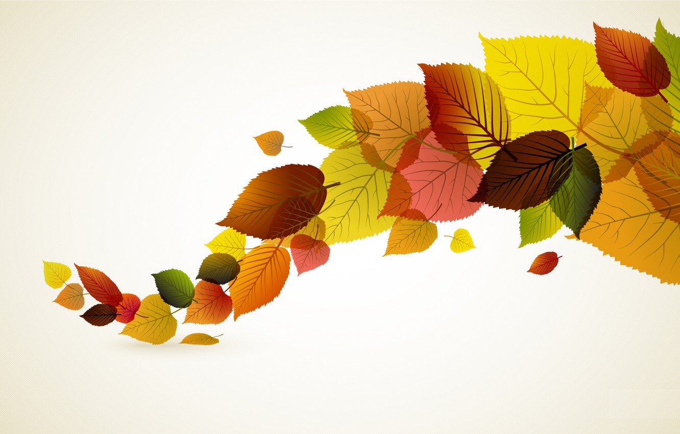 Minimalism Autumn Wallpapers