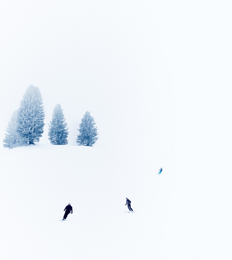 Minimalism Birds Mountains Trees Forest Wallpapers