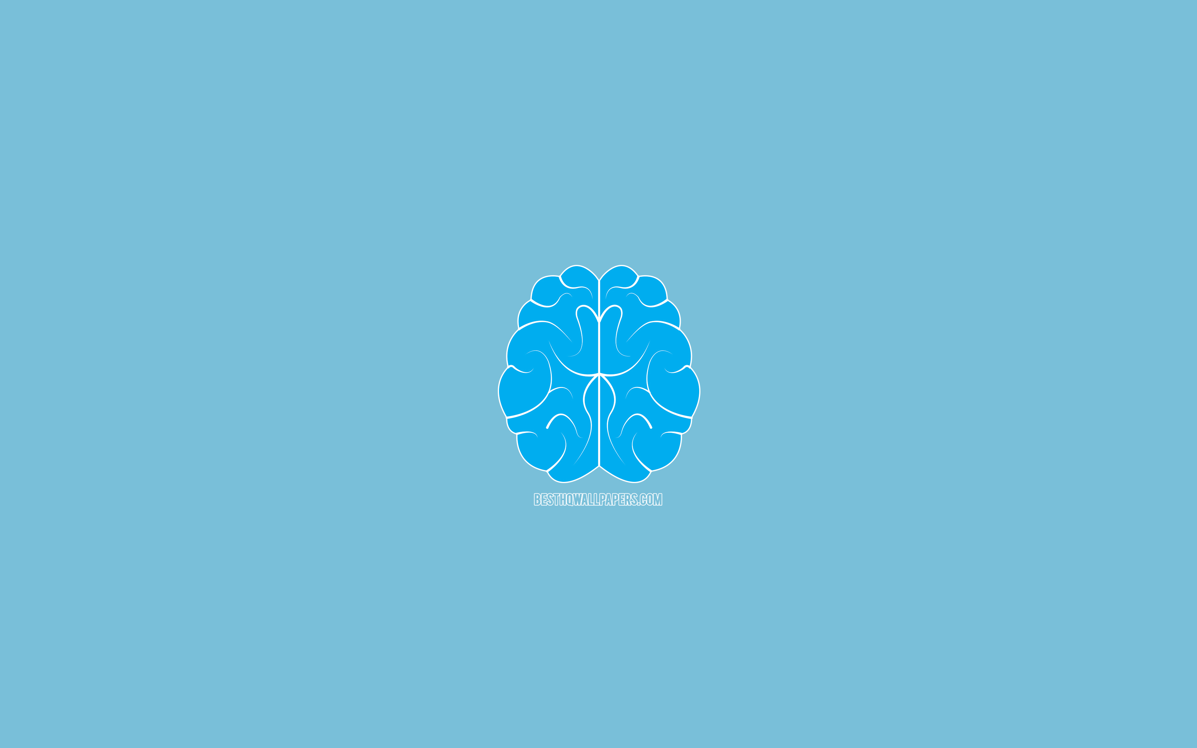 Minimalist Brain Wallpapers