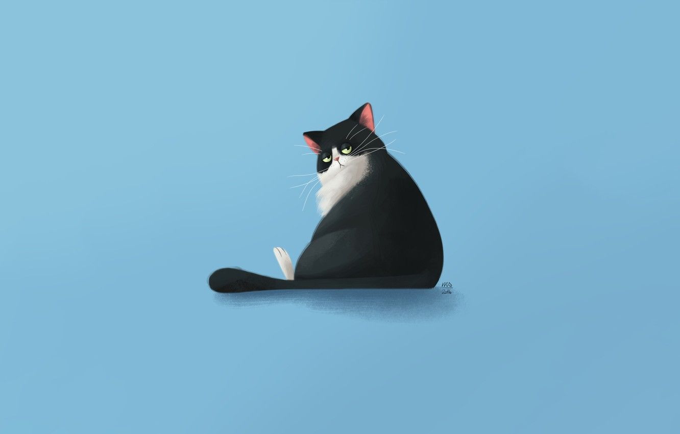 Minimalist Cat Wallpapers