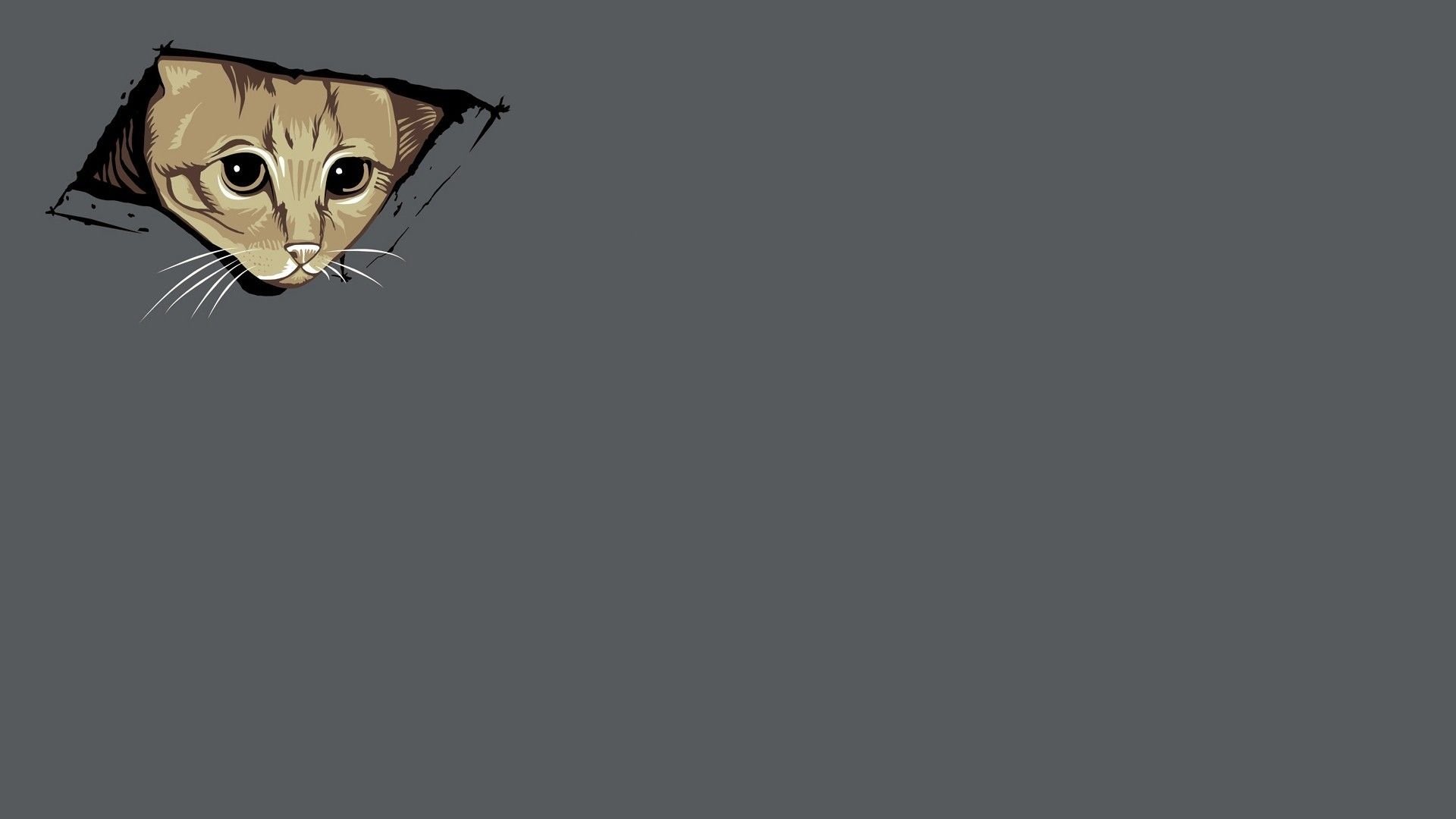 Minimalist Cat Wallpapers