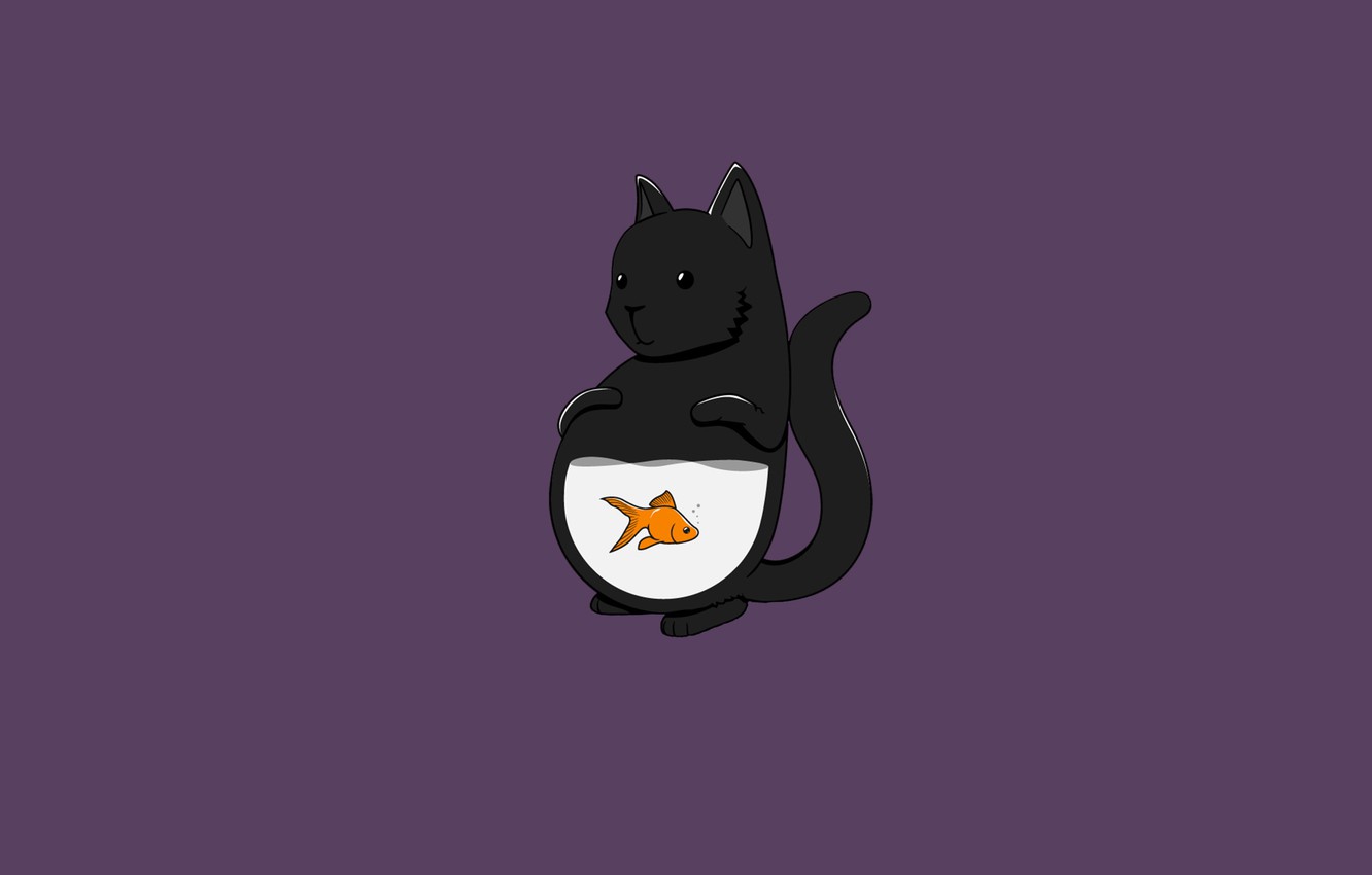 Minimalist Cat Desktop Wallpapers