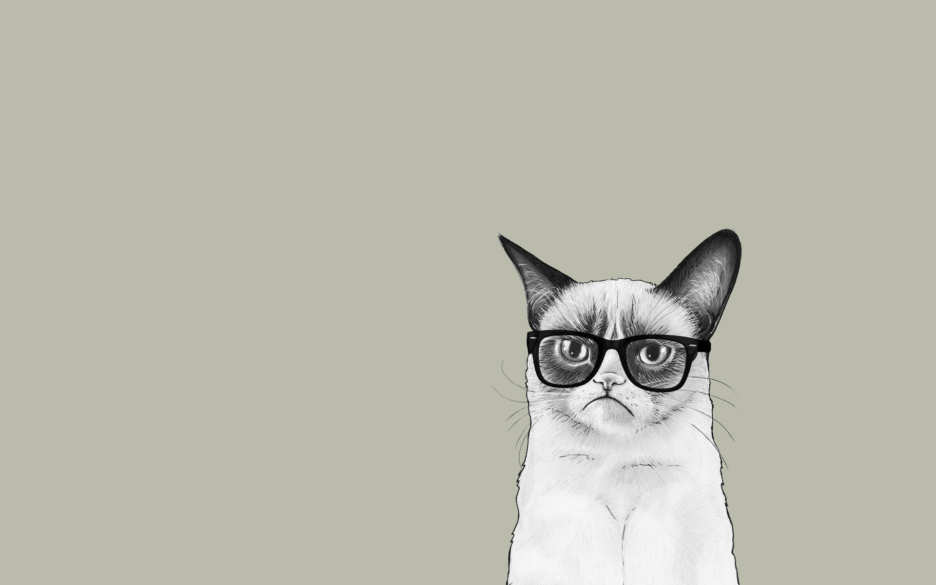 Minimalist Cat Desktop Wallpapers