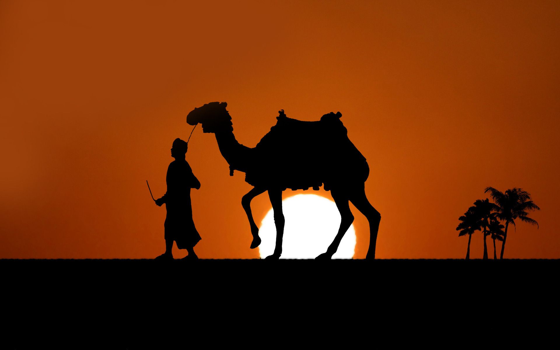 Minimalist Desert Night Camel Walking Wallpapers