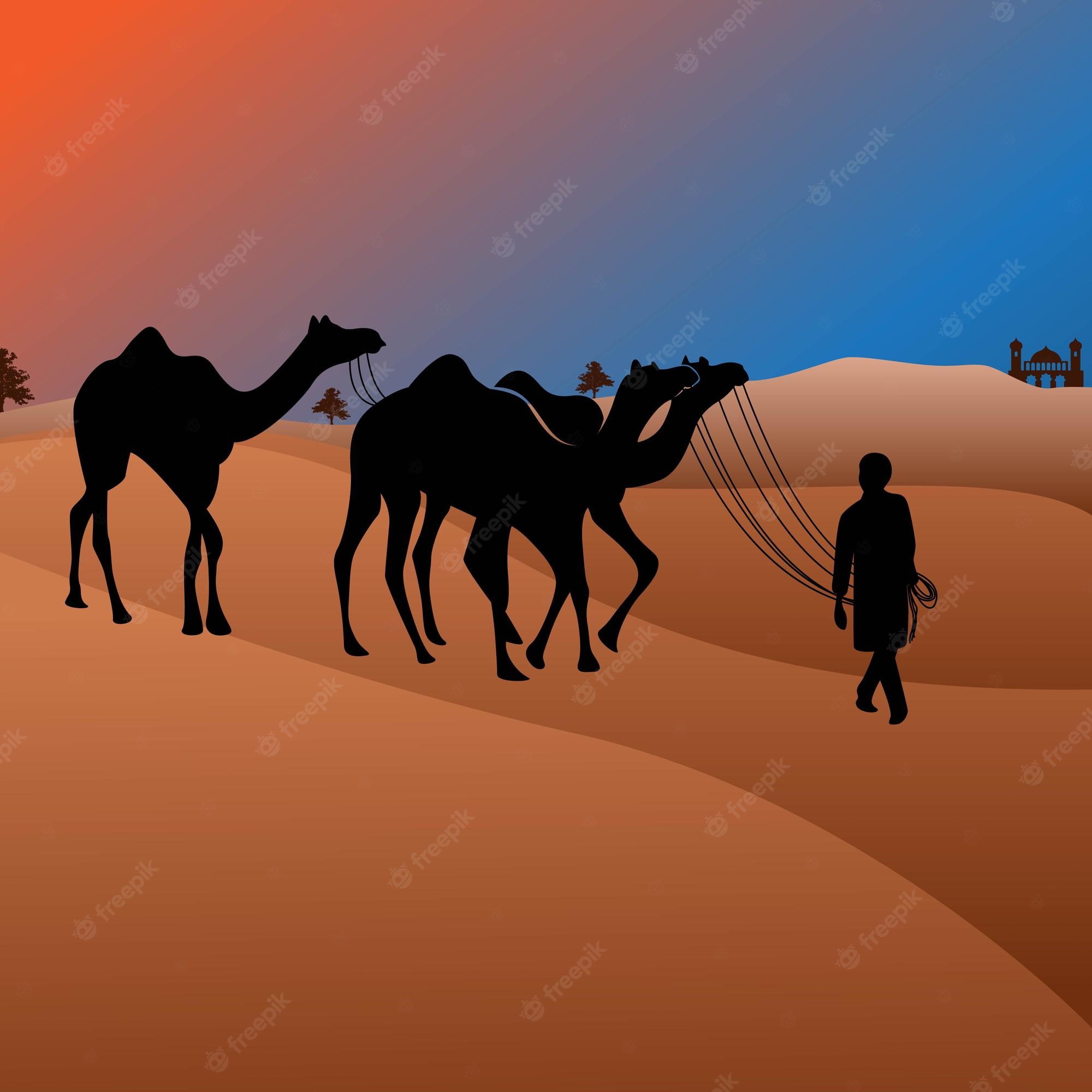 Minimalist Desert Night Camel Walking Wallpapers