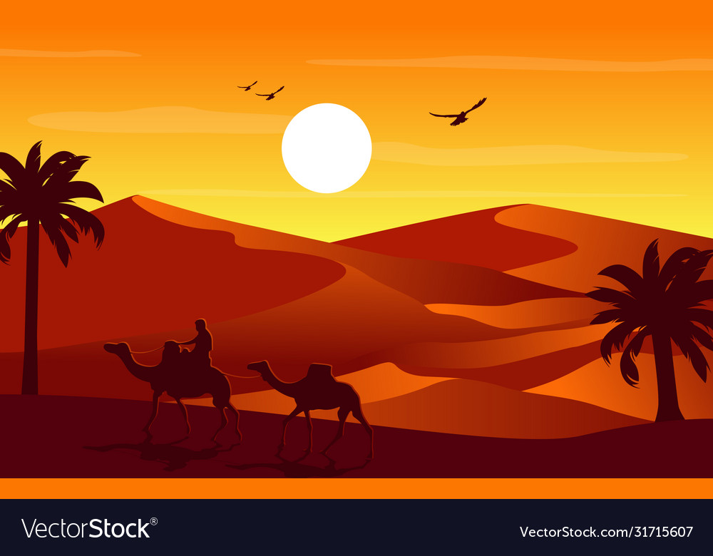 Minimalist Desert Night Camel Walking Wallpapers